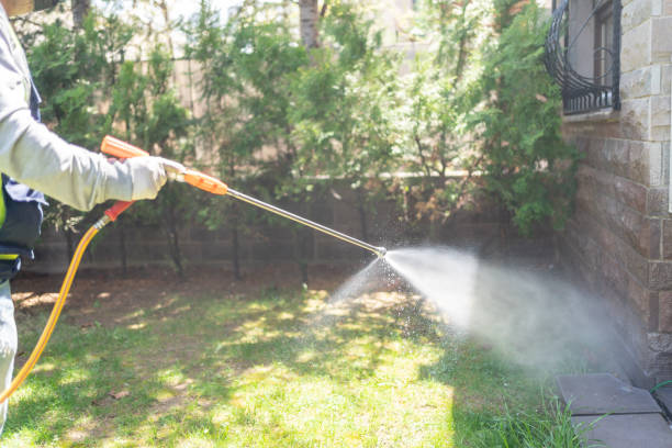 Best Fumigation Services  in Pittsburg, CA